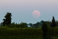 moonrise behind Mas Ballot