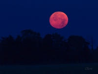 Coucher de Lune du 10 août 2014