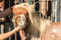 Le sourire de Pachouli