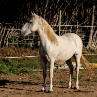 Uruguay, le Camargue