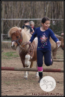 animations autour des poneys