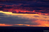 Le Canigou vu des Baux un 30 décembre